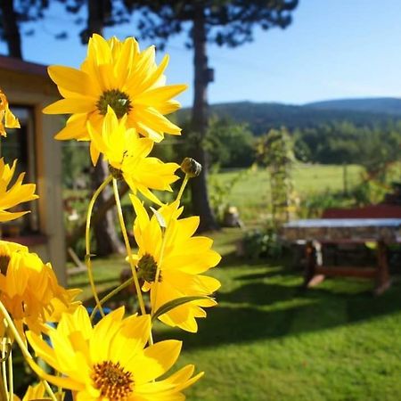 Dom Na Przedgorzu-Apartamenty Z Widokiem Na Gory Świeradów-Zdrój Exteriör bild